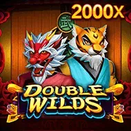 DoubleWildsJDB game cover